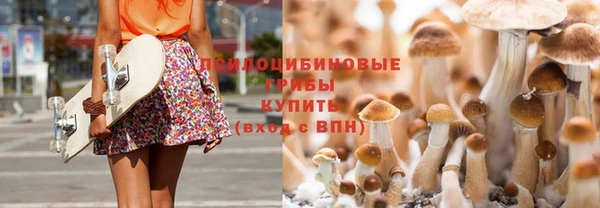 ешки Покровск
