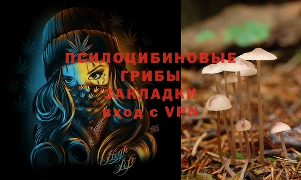 ешки Покровск