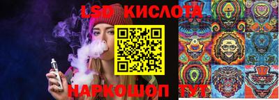 шишки Абинск