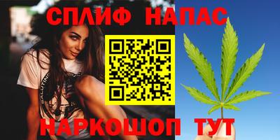 шишки Абинск
