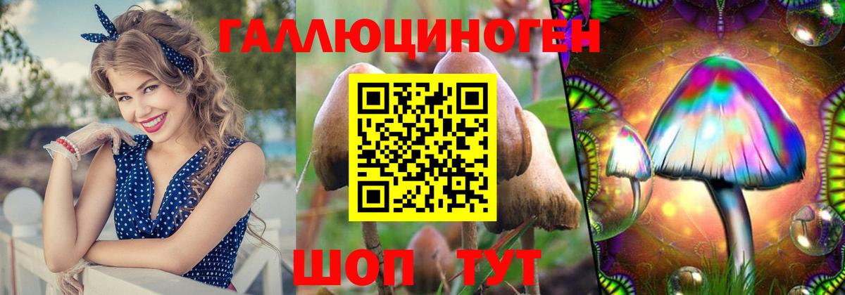 Псилоцибиновые грибы Psilocybe Карасук