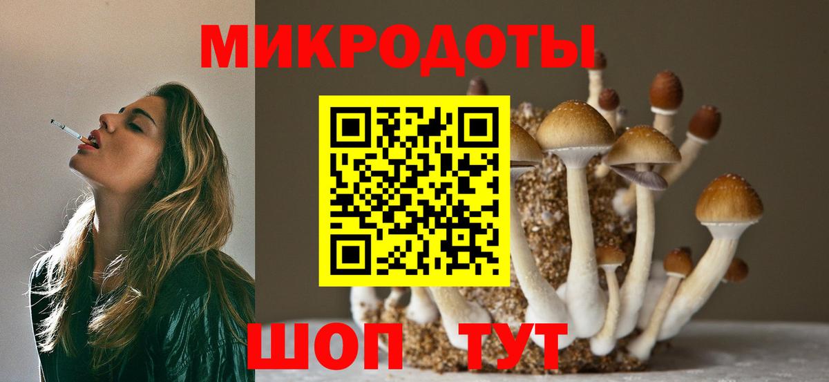 Псилоцибиновые грибы GOLDEN TEACHER  Вход с VPN  Галлюциногенные грибы прущие грибы  Карасук 